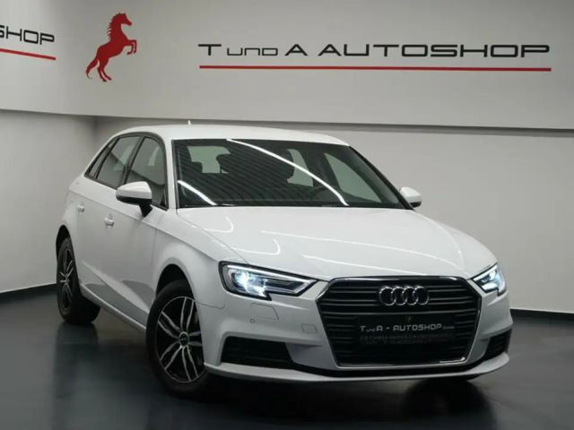 Audi A3 1,6 TDI/Klima/STZ/Leder/Navi/Xenon/ ab:229€