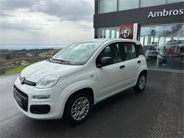 Fiat Panda Easy