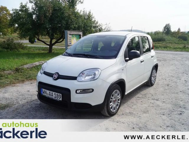 Fiat Panda 1.0 GSE HYBRID Tech-Paket