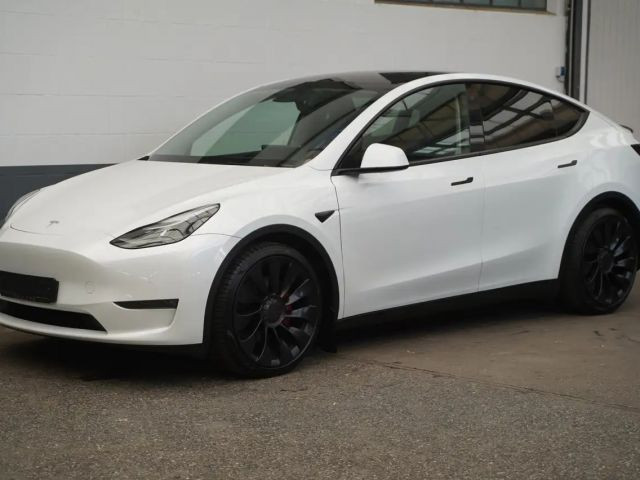 Tesla Model Y Performance