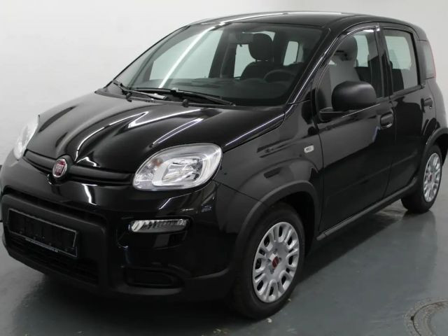 Fiat Panda 1.0 Mild Hybrid DAB+PDC+Bluetooth+EASP