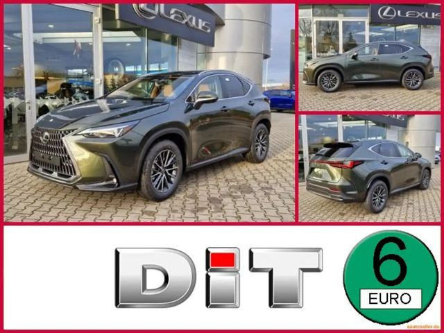 Lexus NX Luxury Line