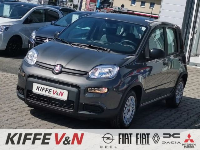 Fiat Panda Base 1.0 Mild Hybrid Freisprechein. Klima