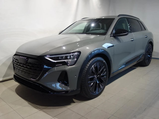 Audi Q8 e-tron Quattro Business 55