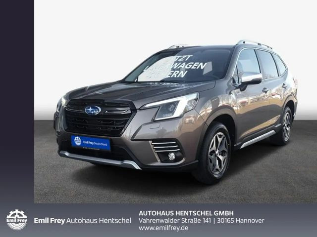 Subaru Forester Active