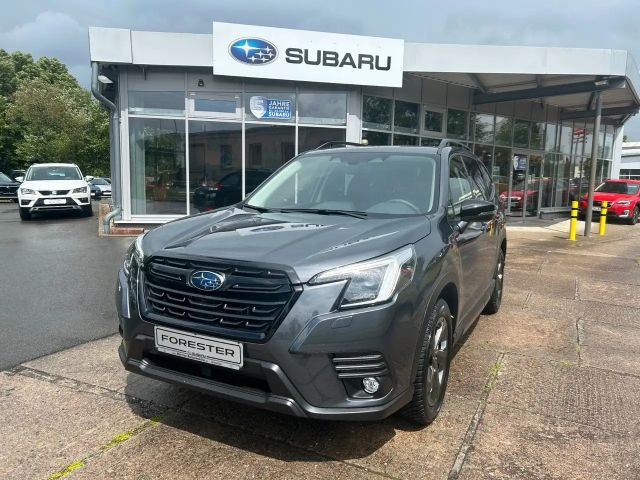 Subaru Forester 2.0ie  Platinum Black Edition