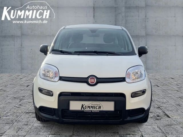 Fiat Panda Hybrid 1.0l 70PS