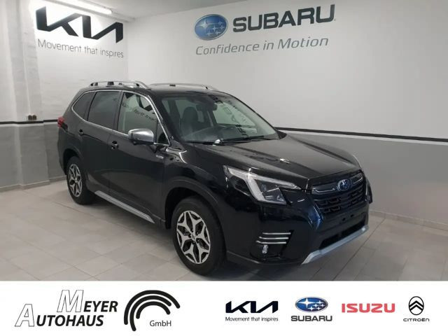 Subaru Forester Comfort