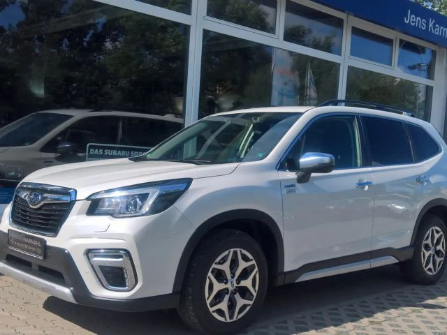 Subaru Forester Comfort