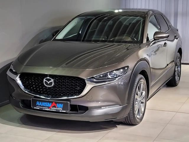 Mazda CX-30 Sel. X-180/Act-P./Design-P./Leder/Navi/Head-Up