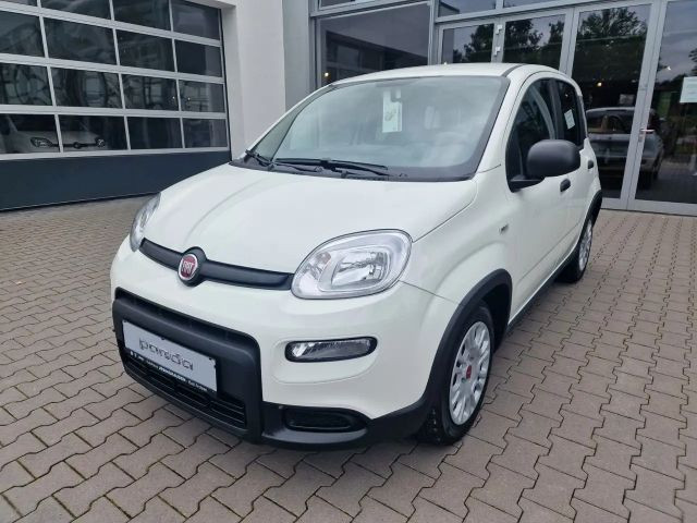 Fiat Panda MY24 Hybrid 1.0 GSE KomfortPaket*Bluetooth