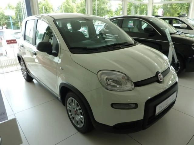 Fiat Panda MY2024 HYBRID 1,0  51 kW ( 70 PS ) PDC Klima 5 Sit