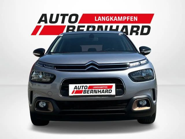 Citroën C4 Cactus Origins