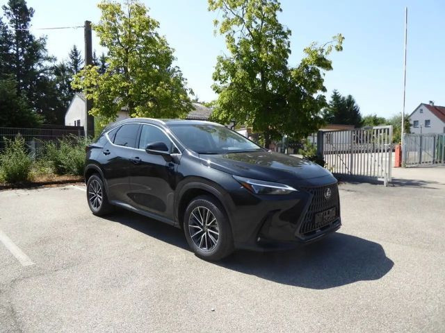 Lexus NX Executive Line