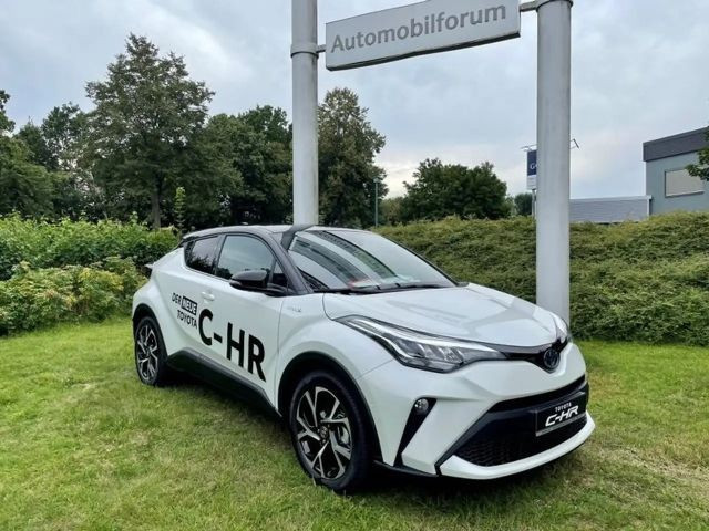 Toyota C-HR Team D