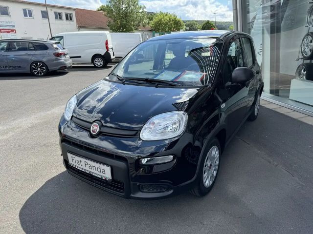 Fiat Panda Base 1,0 70PS Klima...