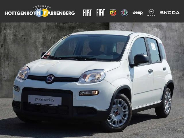 Fiat Panda 1.0 Mild Hybrid 70PS EU6d