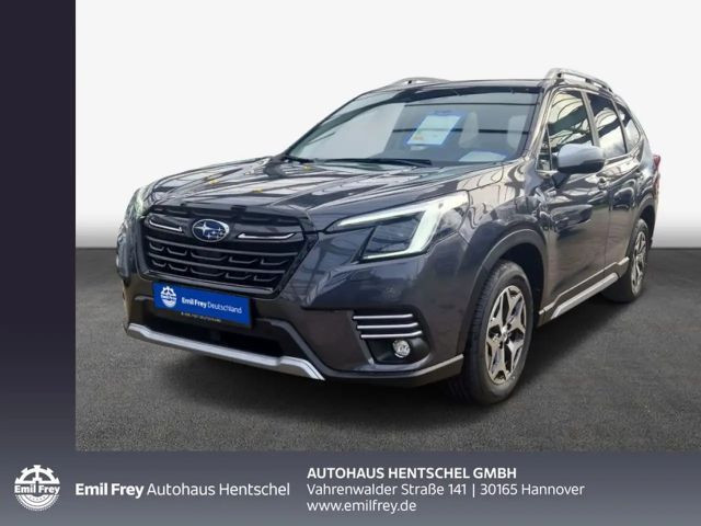 Subaru Forester Comfort