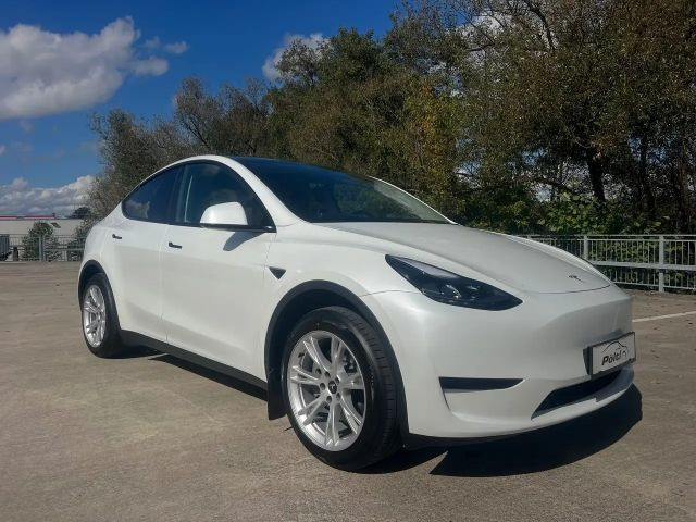 Tesla Model Y RWD