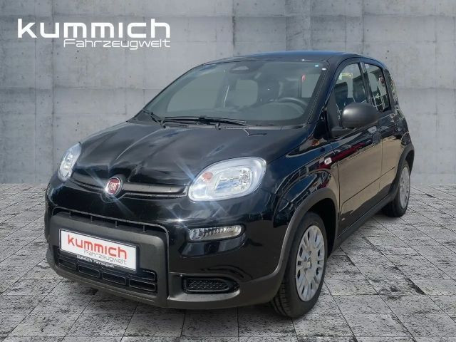 Fiat Panda Hybrid 1.0 GSE 51kw (70PS) Hybrid 1.0 GSE 51kw (70