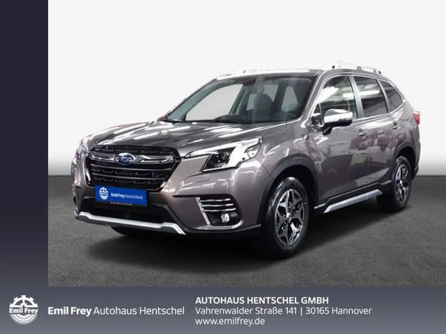 Subaru Forester Comfort