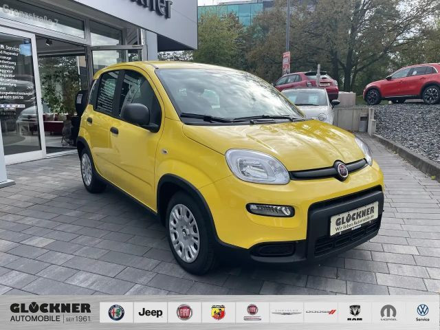 Fiat Panda Hybrid Pandina