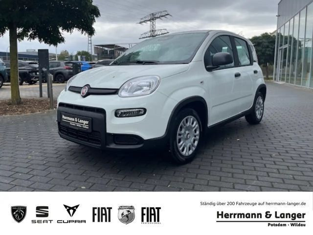 Fiat Panda Klima PDC Allwetter