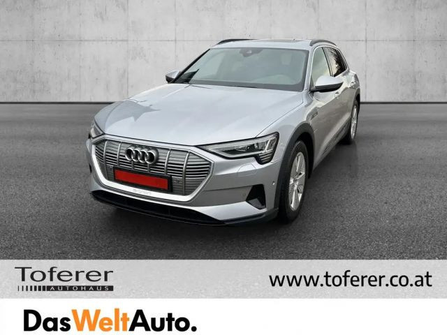 Audi e-tron Quattro Business 55