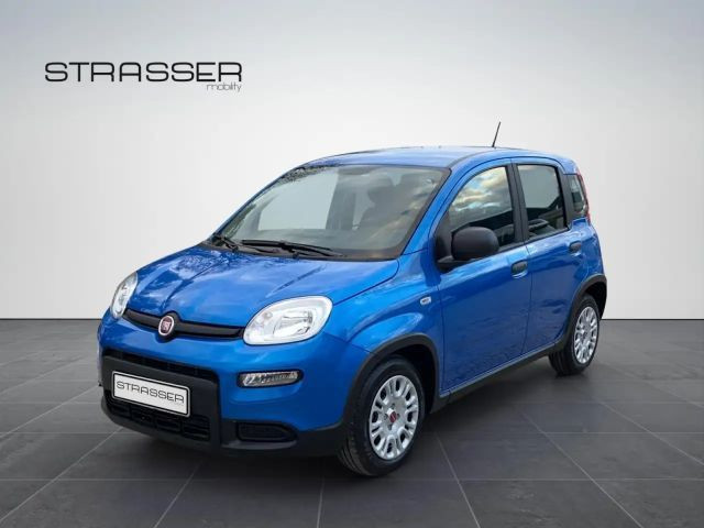 Fiat Panda 1.0 GSE Hybrid (Radio) Fenster el.