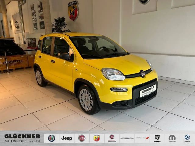 Fiat Panda Hybrid Pandina