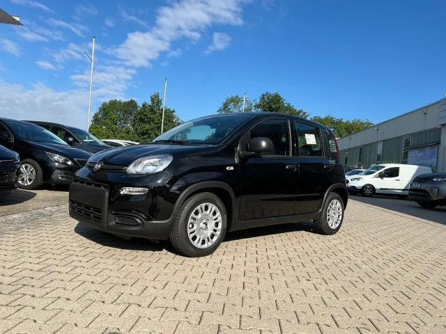 Fiat Panda Neues Modell 1.0 *5 Sitzer Klima PDC DAB*