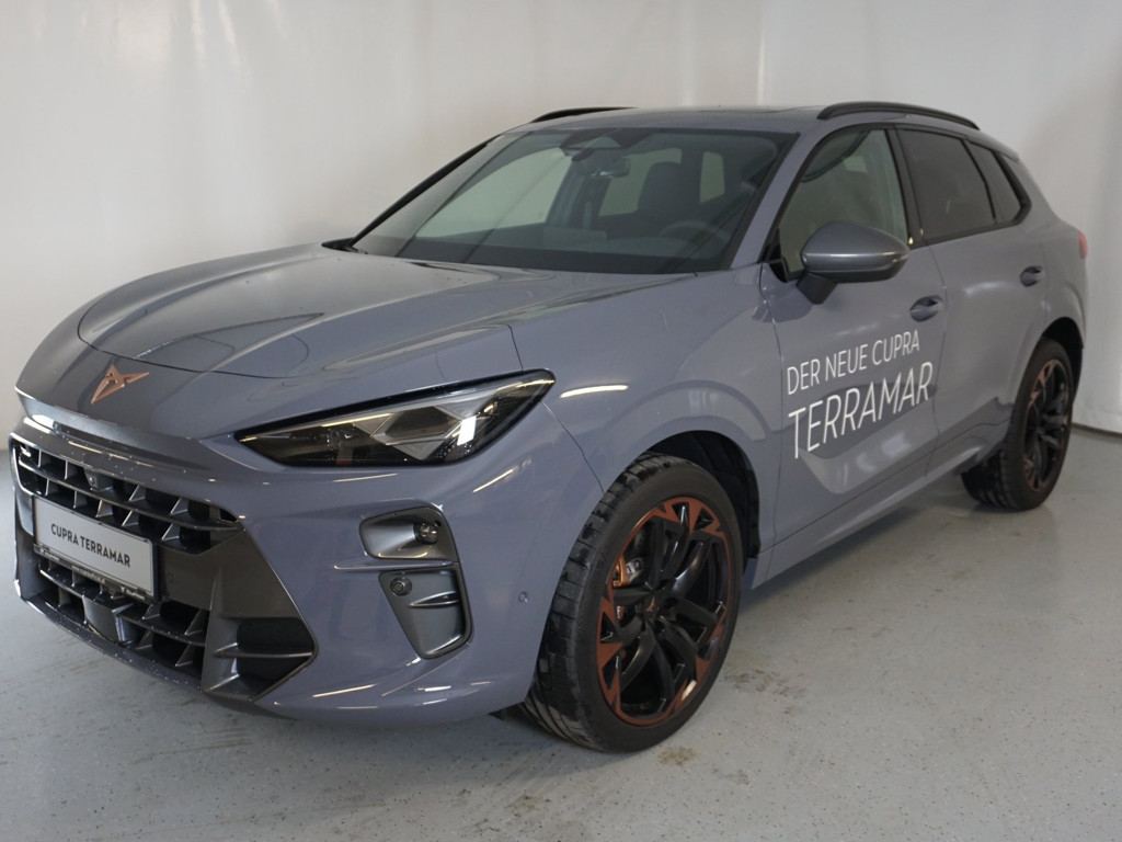 Cupra Terramar 2.0 TSI VZ