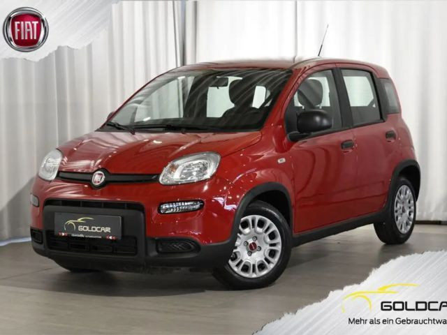 Fiat Panda Panda