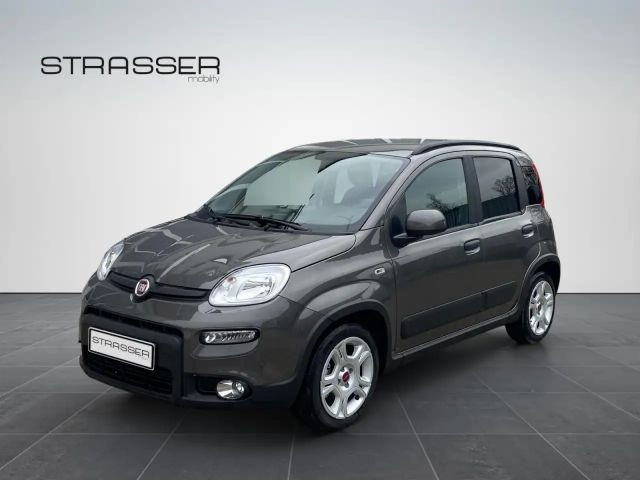 Fiat Panda 1.0 GSE Hybrid ( Klima ) Klima Fenster el.