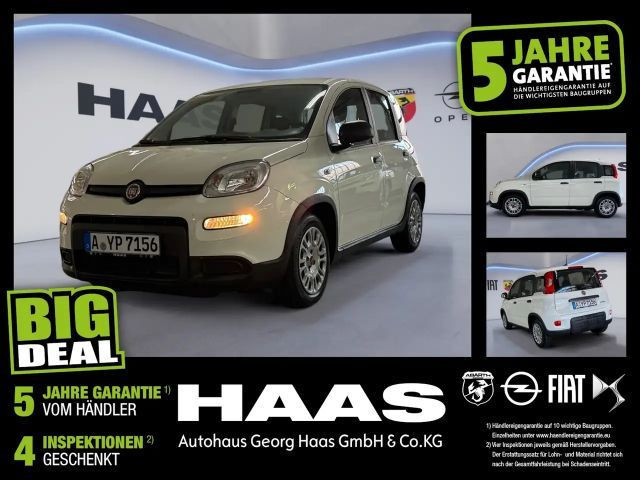 Fiat Panda 1.0 Mild Hybrid Radio Klima sehr sparsam