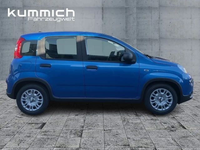 Fiat Panda Hybrid 1.0 70PS