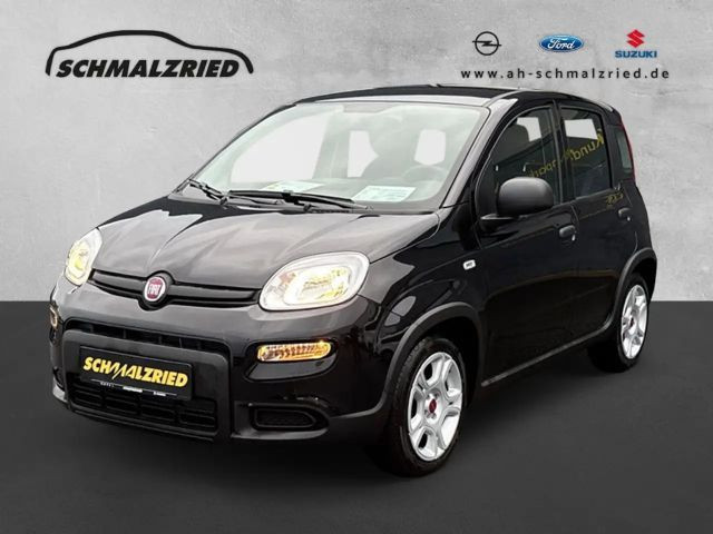 Fiat Panda Base 1.0 Mild Hybrid DAB Berganfahrass. Klima Frei