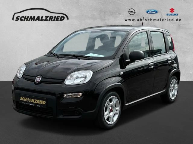 Fiat Panda Base 1.0 Mild Hybrid DAB Klima Freisprech BT teilb