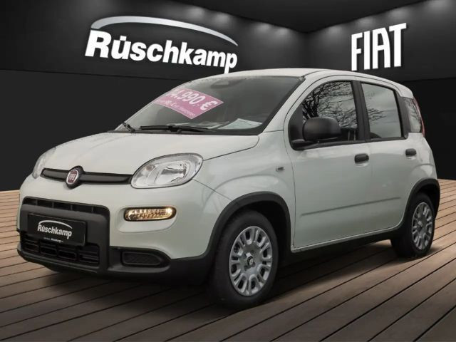 Fiat Panda Hybrid 1.0 PDC Klima Temp. DAB dig.Kombiinstr.