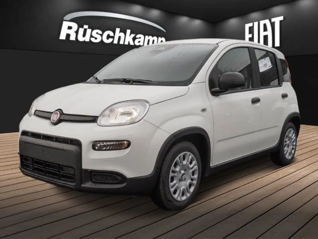 Fiat Panda Hybrid 1.0 Klima PDC Temp. DAB Spurhalteassistent