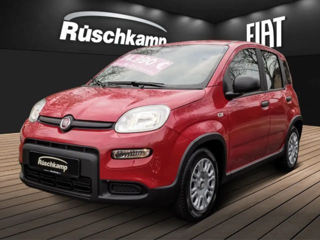 Fiat Panda Hybrid 1.0 PDC Klima DAB Spurhalteassistent