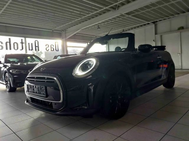 Mini Cooper Cabrio Aut. Navi SportSitze Shzg PDD+ParkAs Classic Trim