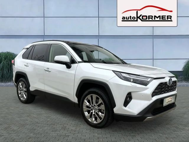 Toyota RAV4 Vierwielaandrijving Lounge Hybride