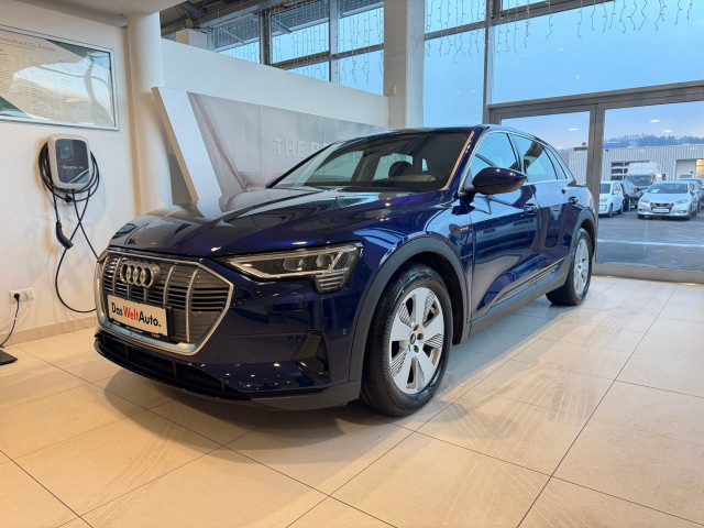 Audi e-tron Quattro Business 55