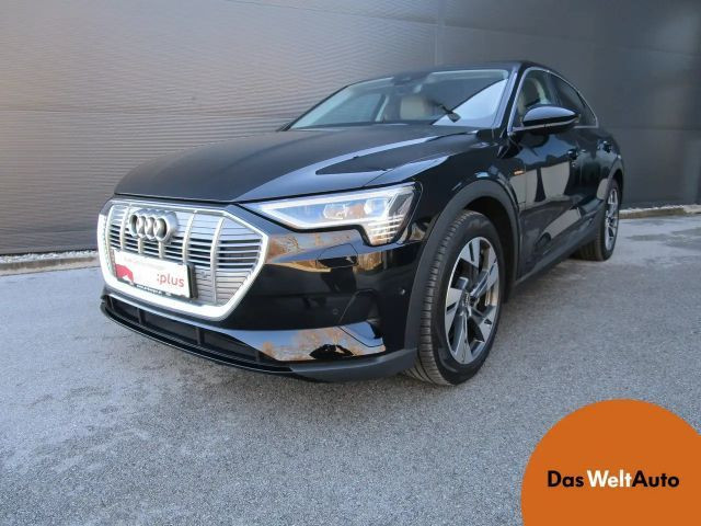 Audi e-tron Business 50