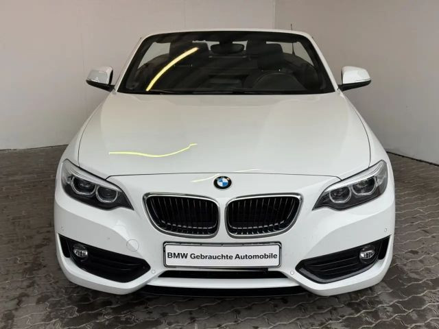 BMW 2 Serie 220 Cabrio Advantage pakket