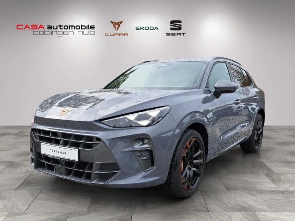 Cupra Terramar 2.0 TSI VZ