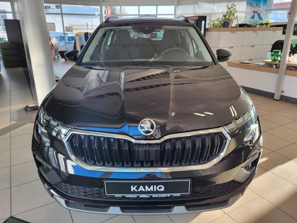 Skoda Kamiq