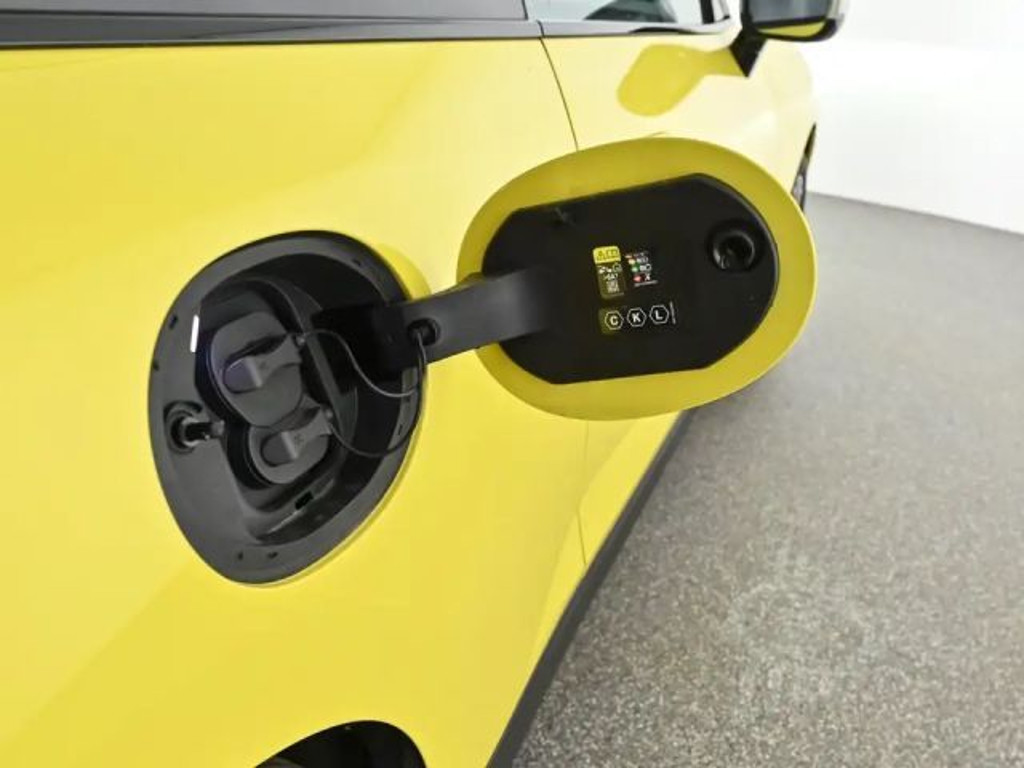 Mini Mini Electric