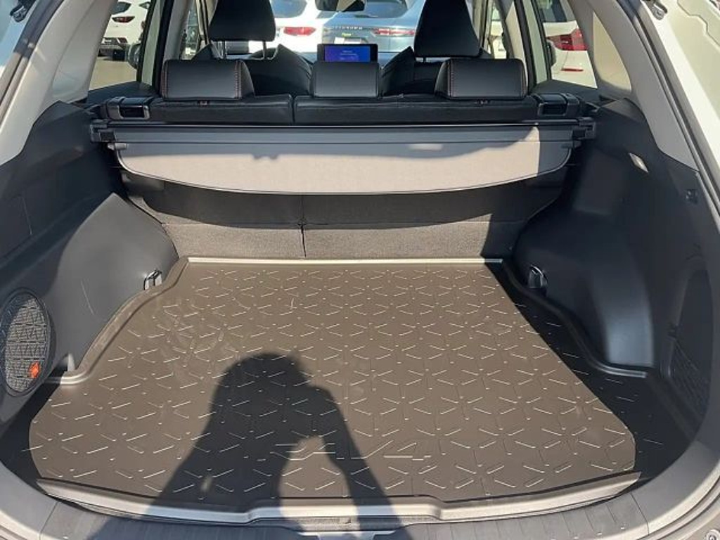Toyota RAV4 Vierwielaandrijving Hybride